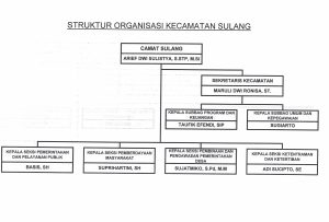 Struktur Organisasi TAHUN 2023